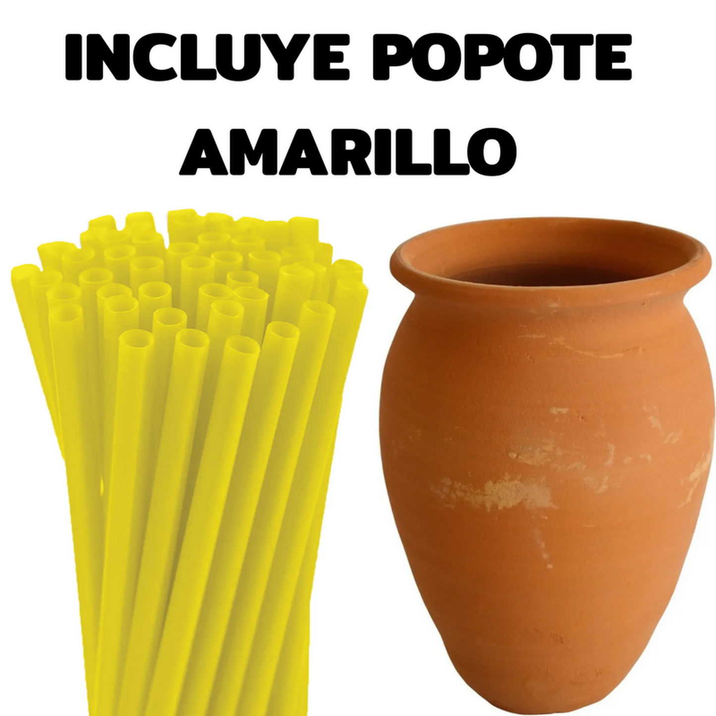 png_1500x1500_67000089
